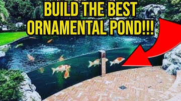HOW to BUILD an ORNAMENTAL pond with a VIEWING WINDOW!!!     AQUARIUM BOMB SHELTER???