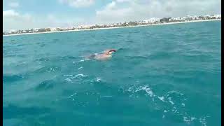 Nejib Belhedi 5Th Training Camp In Gulf Of Hammamet For Italy To Tunisia Swim 155 Km Challenge