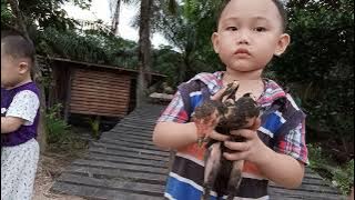 Pegang Ayam / Hold The Chicken