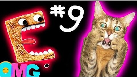 Cinnamon Toast Crunch vs Cats  Sound Variations