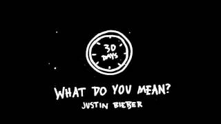 Justin Bieber   What Do You Mean | INSTRUMENTAL|