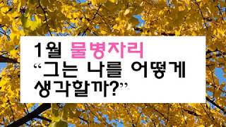 [타로연애]1월 물병자리 “그는 나를 어떻게 생각할까?” 그는 당신을 운명의 상대로 보고있어요