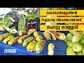 FOOD VLOG 80 - Blonde Cucumber Juice || Cucumber Juice || Kakkiri Juice || Malayalam VLOG