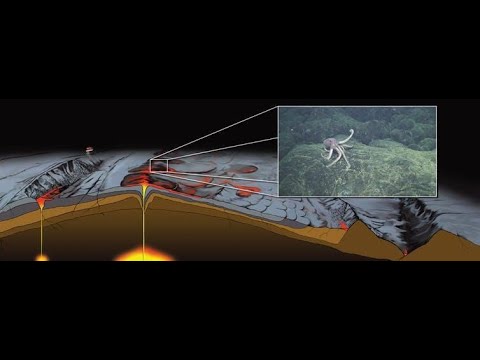 meteorite that killed the dinosaurs