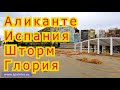 Аликанте после Шторма Глория, центральный пляж Постигет Postiguet, водоросли и мусор