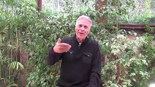 The Prosperity Solution: How To Decode The Abundance Mindset