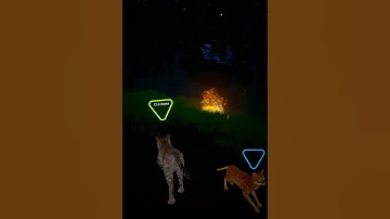 Cats Cradle [prototype iteration 3.1]