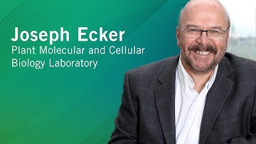 From Then to When| Meet Salk Scientists| Joseph Ecker