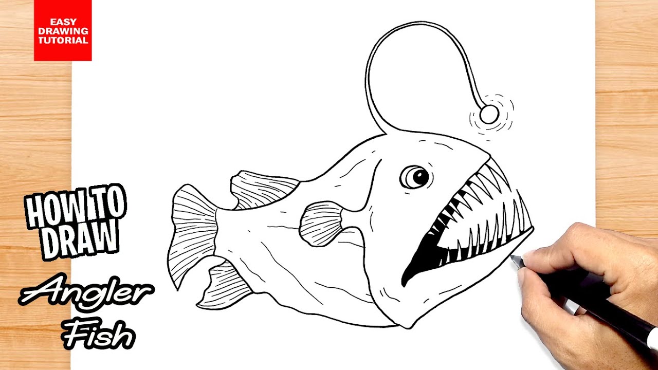 How to draw Angler Fish 