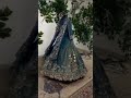 punjabi langha suit design #tranding #punjabi #suit