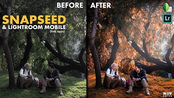 MAKE IMAGES LIVELY in SNAPSEED and LIGHTROOM MOBILE (free version) | Android | iPhone