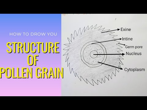 Structure of #pollen
