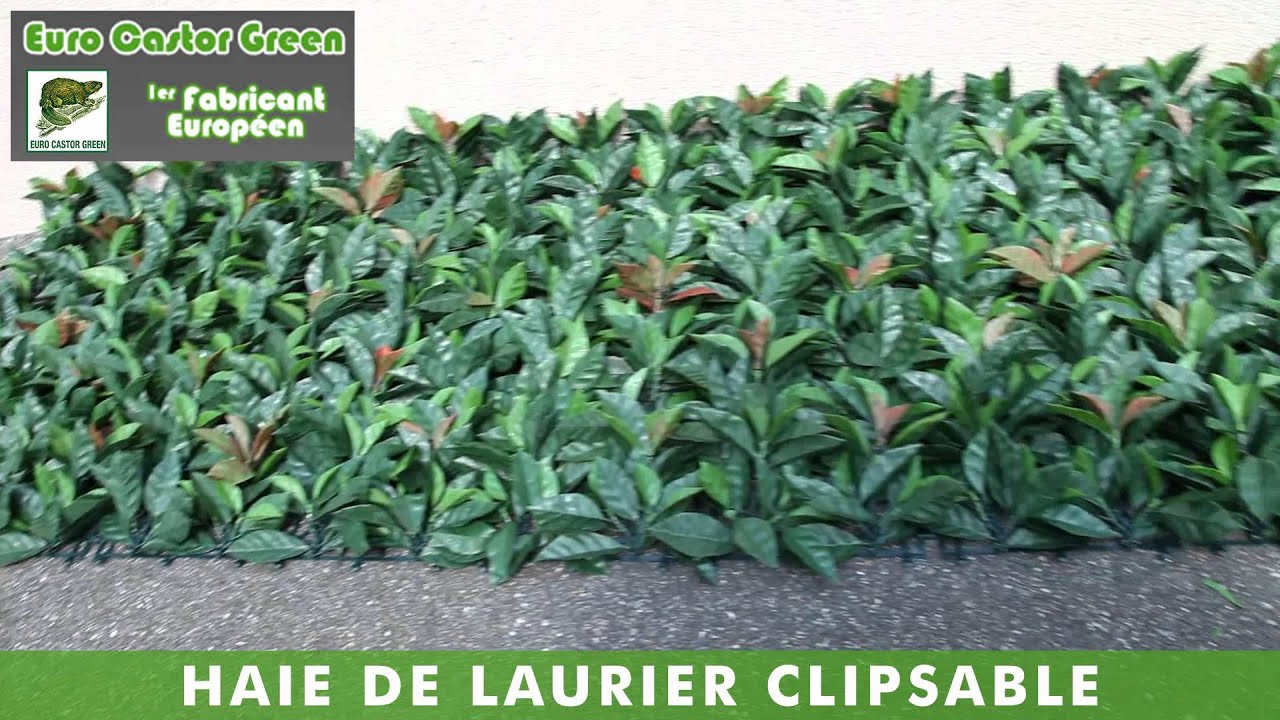 HAIE DE LAURIER ROSE CLIPSABLE - Haie artificielle, brise vue, occultant,  canisse, clôture - thptnganamst.edu.vn