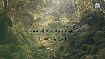 (وإذا سألك عبادي عني فإني قريب)ترتيل يريح القلب من سورة البقرة ،، للقارئ إسلام صبحي 🌺