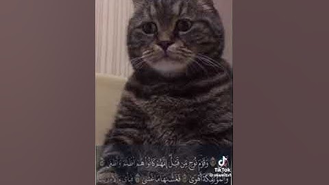 القارئ محمد جميل امين /ماتيسر من القرآن الكريم