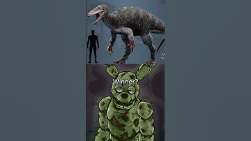 Maip Macrothorax vs SpringFodder