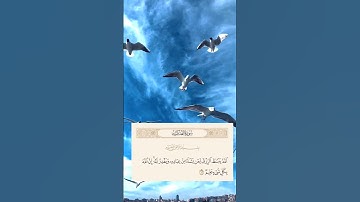 {سورة العنكبوت}»{62}