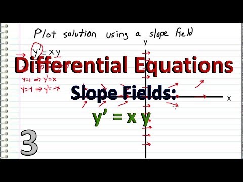 Differential Equations 3 Example Slope Field And Solution For Y Xy Youtube