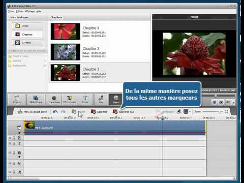 Vidéo: Comment Faire Un Menu Pour Un Disque Avec Avi