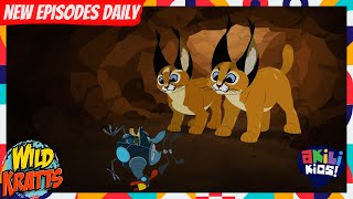 Wild Kratts The Cat-Astrophe Akili Kids