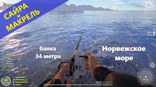 Русская рыбалка 4 - Норвежское море - Сайра и макрель