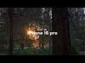 Nature in Motion - Rain Meets Sunlight | Shot on iPhone 16 Pro 4K