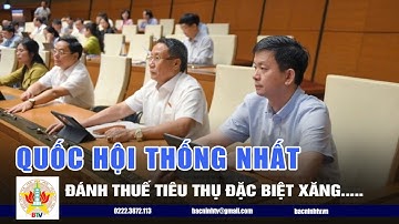 Quốc hội thống nhất đánh thuế tiêu thụ đặc biệt với xăng, nước ngọt, điều hòa