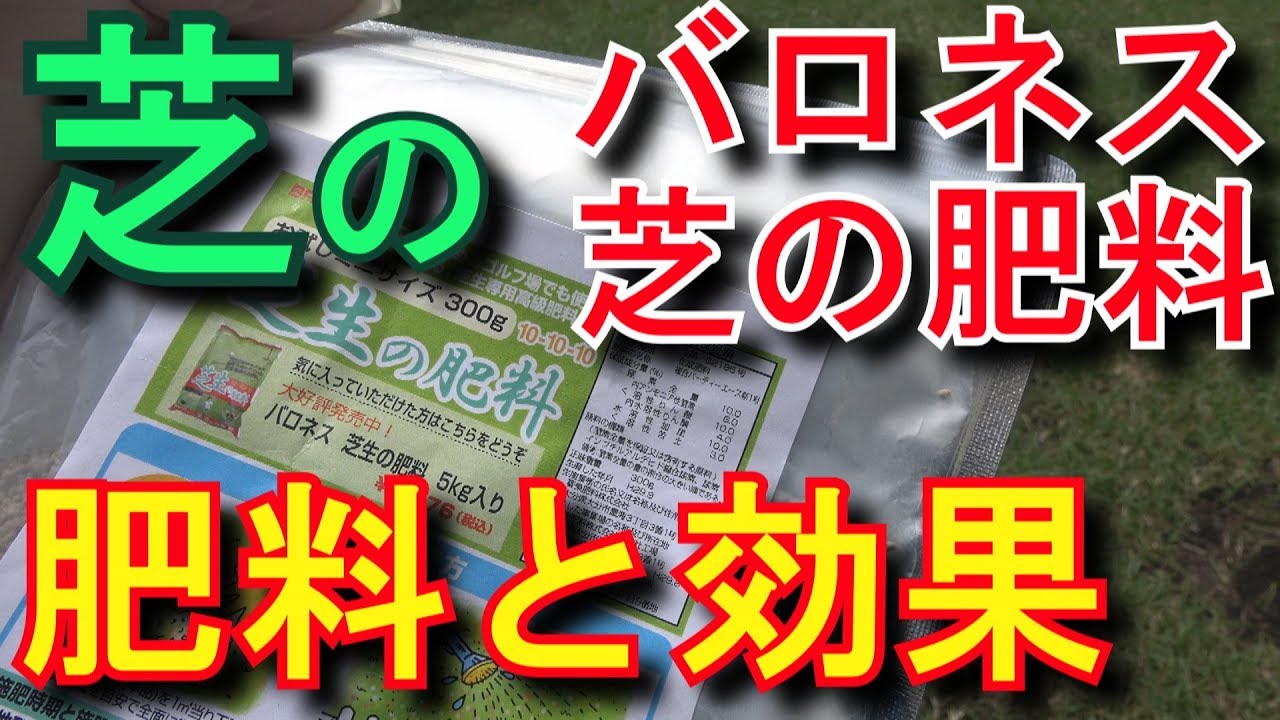 芝活19年5月 バロネス芝の肥料と効果 Youtube 芝活19年5月 バロネス芝の肥料と効果 Youtube