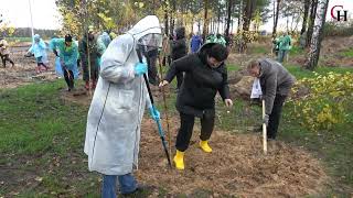 видео: Светлогорский район присоединился к республиканскому субботнику картинка: Светлогорский район присоединился к республиканскому субботнику