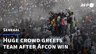 Ecstatic crowds greet victorious Senegal on Cup of Nations return | AFP
