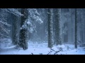 Listen only to the sound of my voice  guided meditation in the frozen forest