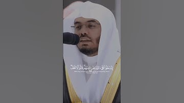 ياسر الدوسري تلاوة خاشعة | نعم الله على داوود | إنا سخرنا الجبال معه يسبحن بالعشي والإشراق والطير…….