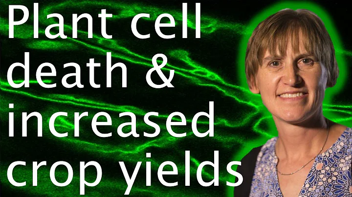Plant cell autophagy: cell death & food security -...
