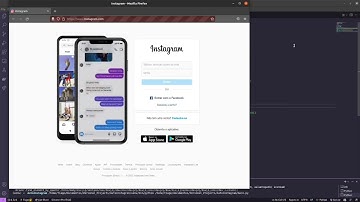 Usando Python e Selenium para logar no Instagram