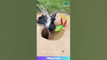 Perangkap Burung Murah Benar-benar BERHASIL?! 😂 Level 100 yang Licik! #diy #perangkap #lucu #bertahan #gagal