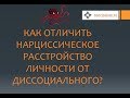 Нарциссизм #5 и социопатия. Как отличить?