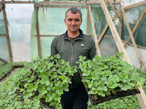 Video: Posilnenie Kapacít Vnútroštátneho Zdravotníckeho Orgánu V Snahe Zmierniť Nerovnosti V Zdraví - Izraelský Model