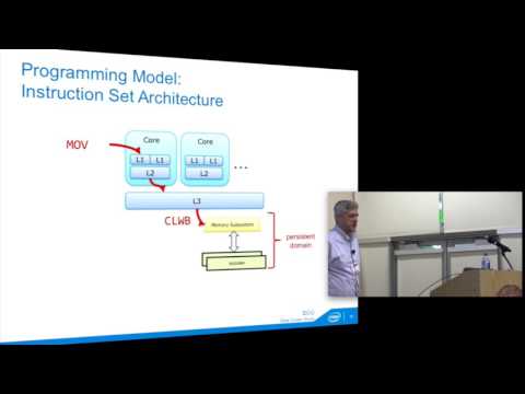 Persistent Memory Programming: