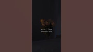 الله لطيف بعباده القرآن الكريم 🤍