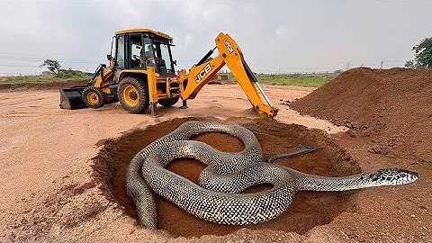 JCB 3dx xpert Loading Mud in Mahindra 475 Di tractor JCB video #jcb #farming