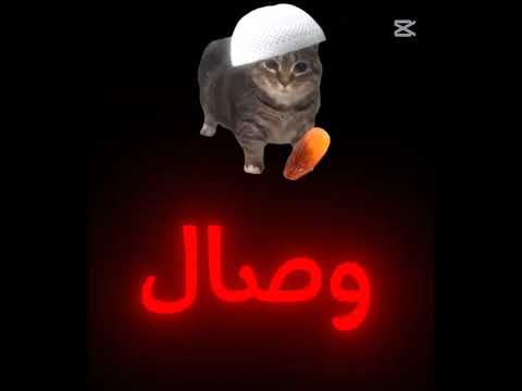 او اي ااي اوايايي