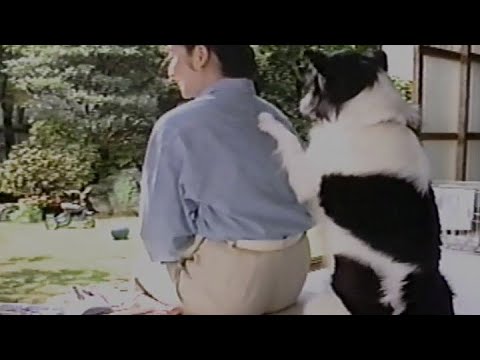 トクホンA　CM　とんとんとことん肩たたき　1991年