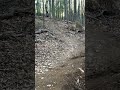 Big jump #mtb