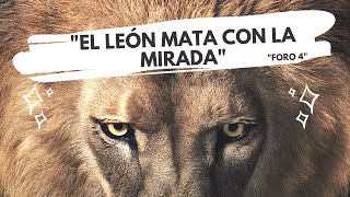 &quot;El león mata con la mirada&quot; - Escuelita Do, Re, Mi