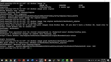 Docker Image Registry Docker Hub - Video 50