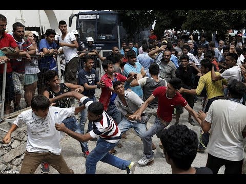 How Polish people deal with immigrants. POLES vs MUSLIMS