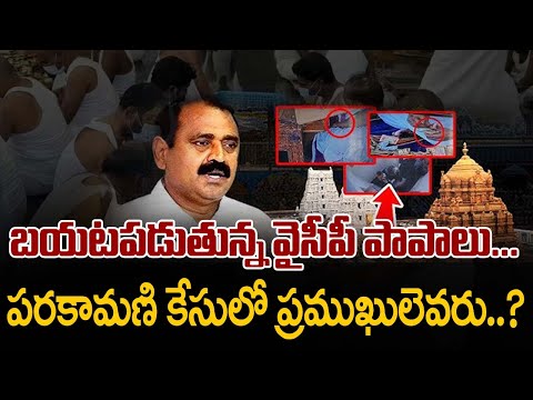 బయటపడుతున్న వైసీపీ పాపాలు...CID To Probe Tirumala Parakamani Theft Case | TV5 News - TV5NEWS