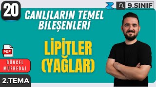 9. Sınıf Biyoloji Yeni Müfredat Lipitler Yağlar Maarif Modeli 20. Ders