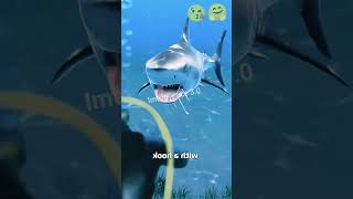 Famous She Risked Her Hand to Save Sharks 🦈💪 | Real Ocean Hero | Shark Rescue Story Profile