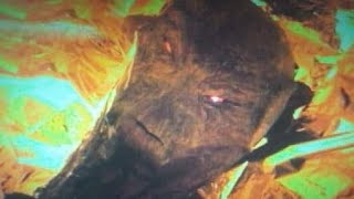 "Portal To Hell" CERN Hadron Collider Exposed [Final Cut] 2022